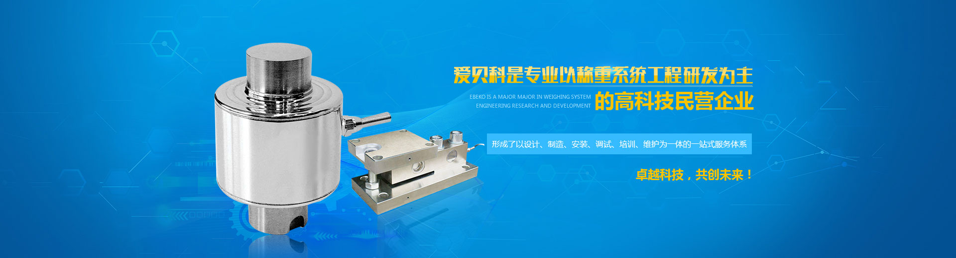 江蘇稱(chēng)重傳感器