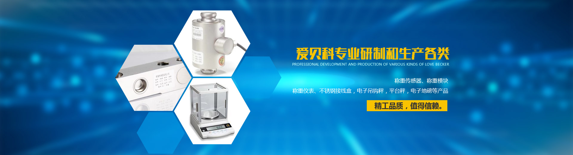 江蘇稱(chēng)重模塊