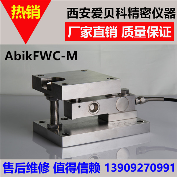 江蘇FW-M靜載稱重模塊
