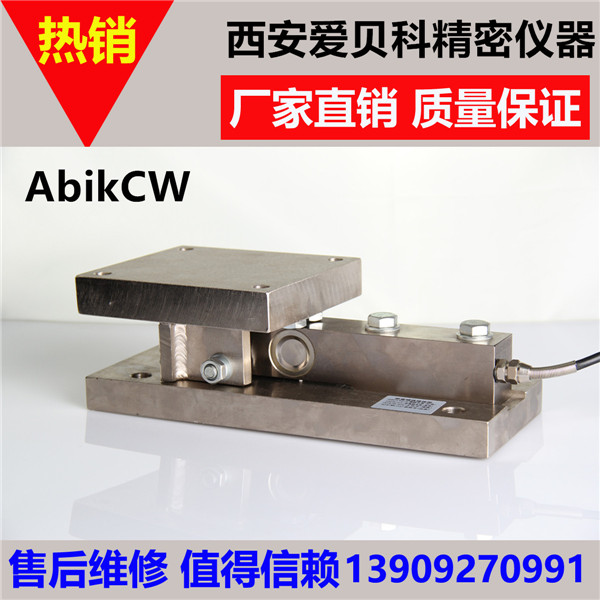 CW動載稱重模塊 CW動載稱重模塊