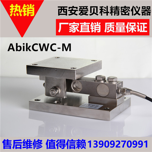 陜西稱重模塊-CWC-M動(dòng)載稱重模塊