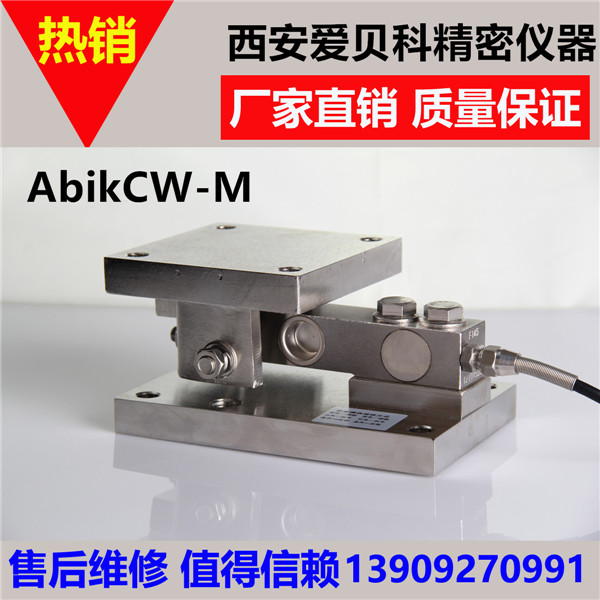 CW-M動(dòng)載稱重模塊