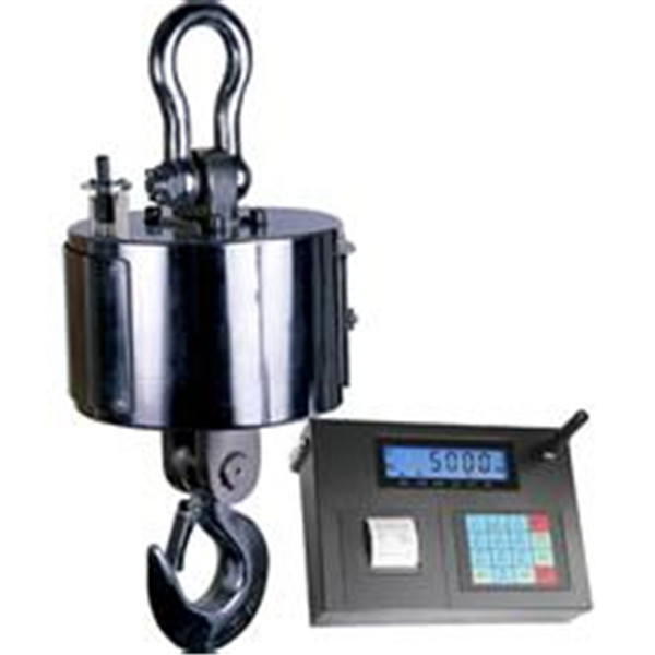 江蘇電子吊鉤秤